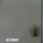 owb-ac-818