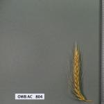 owb-ac-804