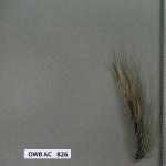 owb-ac-826