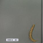 owb-ac-851