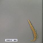 owb-ac-884