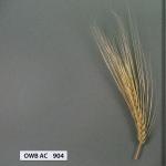 owb-ac-904