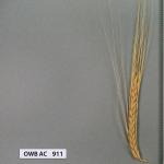 owb-ac-911