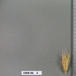 owb-hb-3