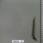 owb-hb-16