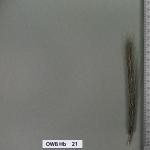 owb-hb-21
