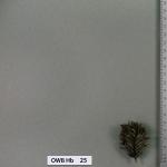 owb-hb-25