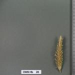 owb-hb-26