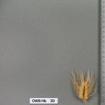 owb-hb-30