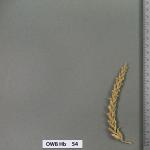 owb-hb-54