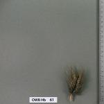 owb-hb-61