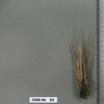 owb-hb-63