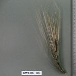 owb-hb-64