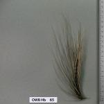 owb-hb-65