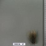 owb-hb-67