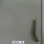 owb-hb-68
