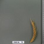 owb-hb-70