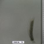 owb-hb-74