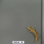 owb-hb-84