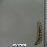 owb-hb-86