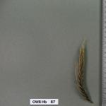owb-hb-87