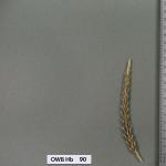 owb-hb-90