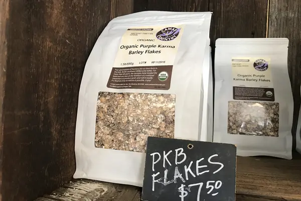 Camas Purple Karma Barley